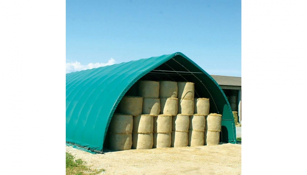 sedo-carpa-verde.jpeg