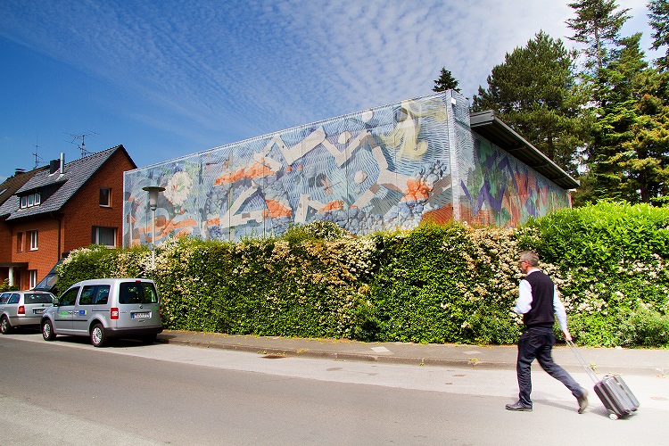mehler4.jpg