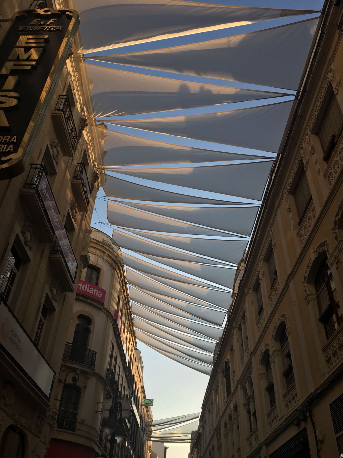 carpas-zaragoza2.jpg