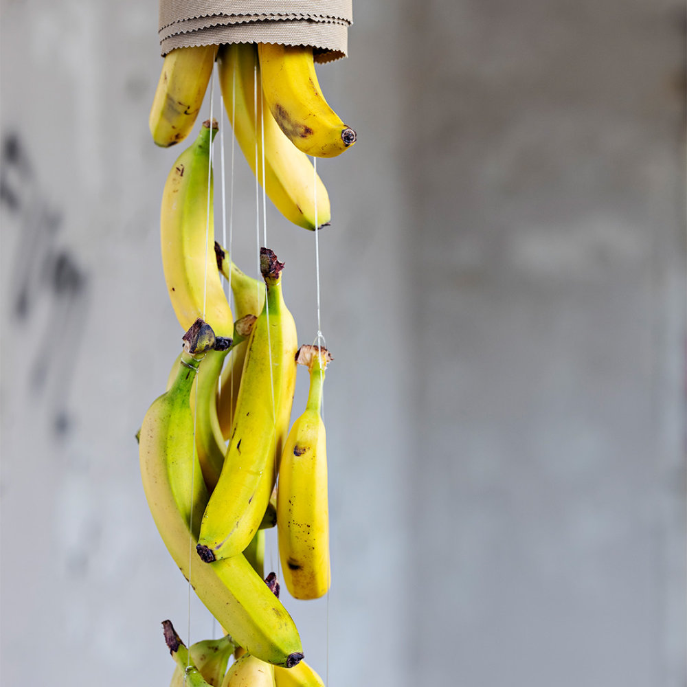 htx-trends-bananen